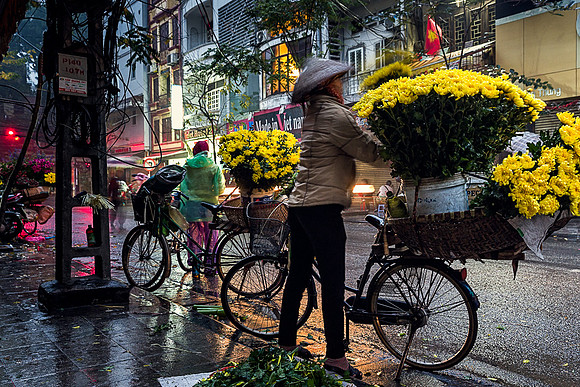 Flower Market, Hanoi