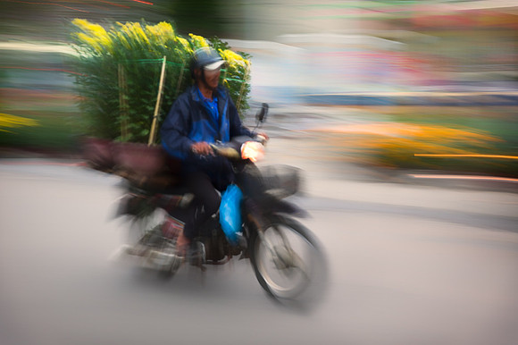 Delivering Flowers for Tet