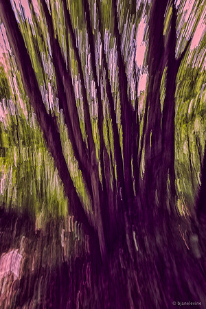 Trees II