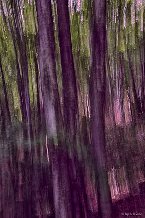 Trees I