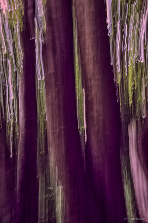 Trees III