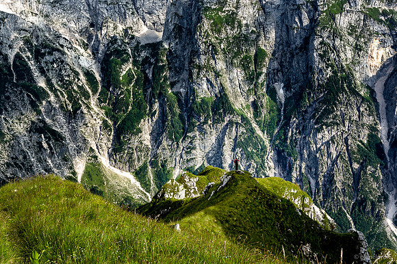 View from the Top