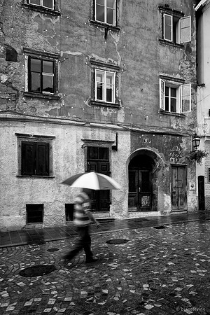 Rainy Afternoon I