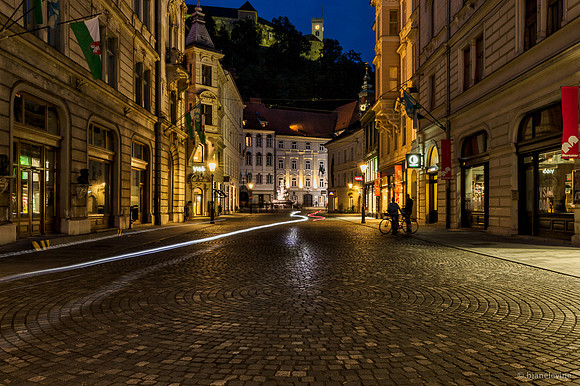 Night Path