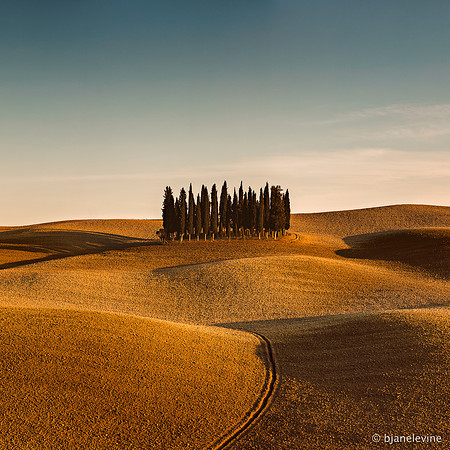 Tuscany Hills