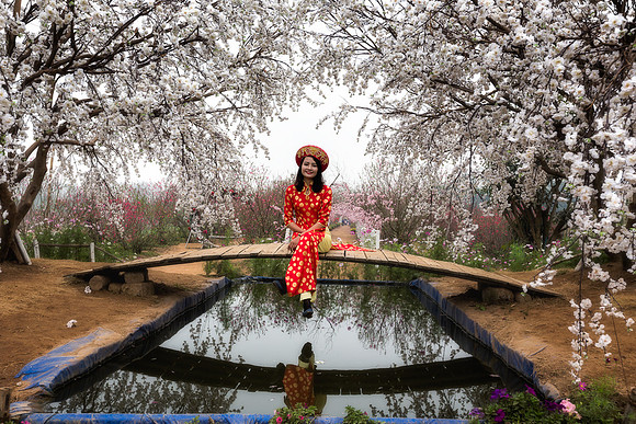 Cherry Blossom Village