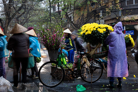 Flower Market, Hanoi